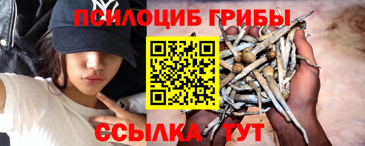 Псилоцибиновые грибы мухоморы  Псилоцибиновые грибы Magic Shrooms  Дербент  Вход с VPN 
